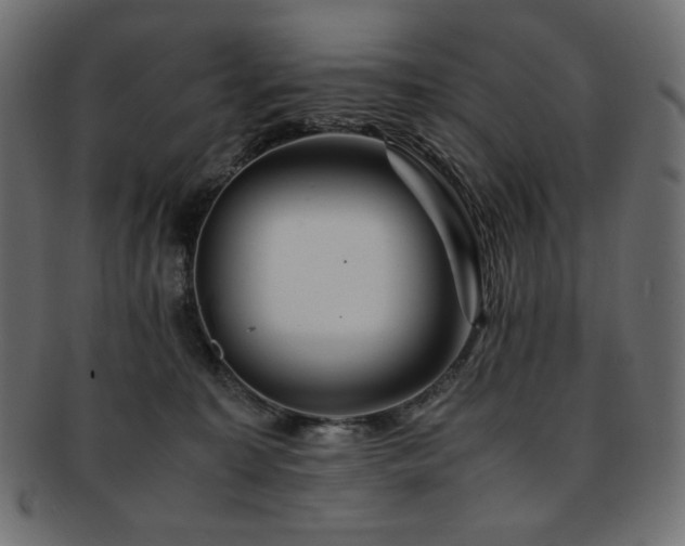 X0000093240323200710031607