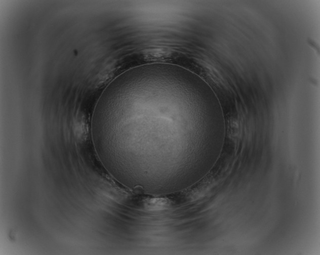 X0000093240324200710031607