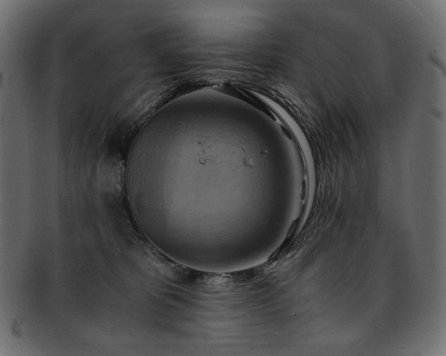 X0000093240325200710031607