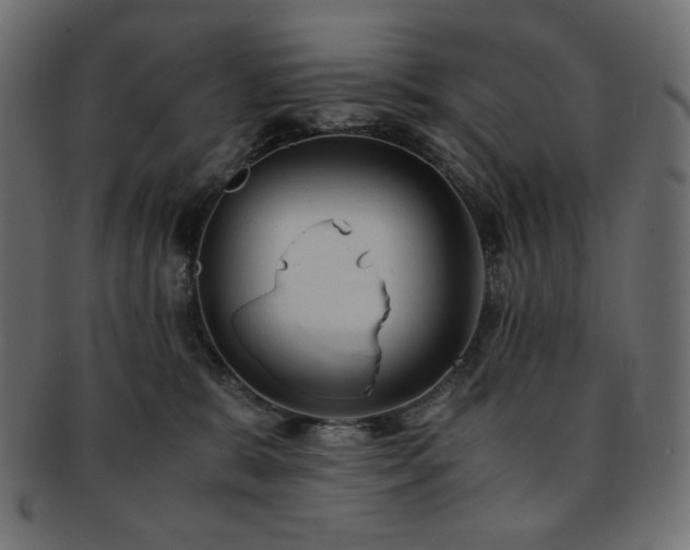 X0000093240327200710031607