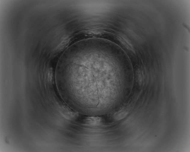 X0000093240328200710031607