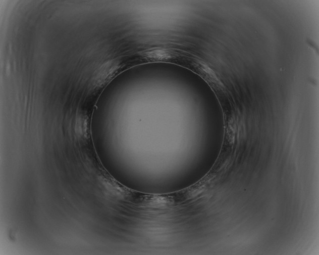 X0000093240330200710031607