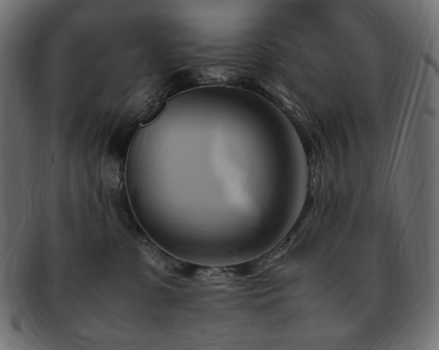 X0000093240331200710031607