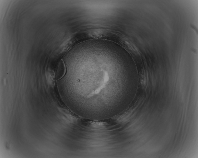 X0000093240332200710031607
