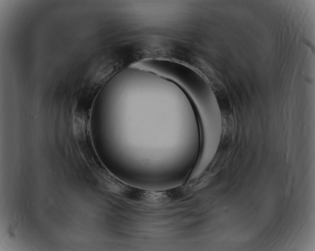X0000093240333200710031607
