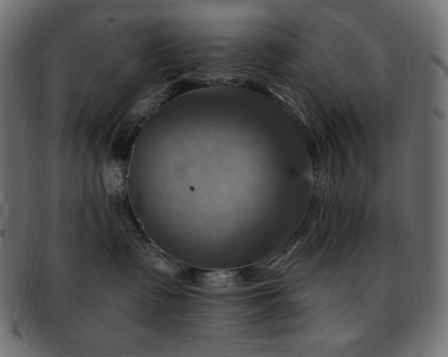 X0000093240335200710031607