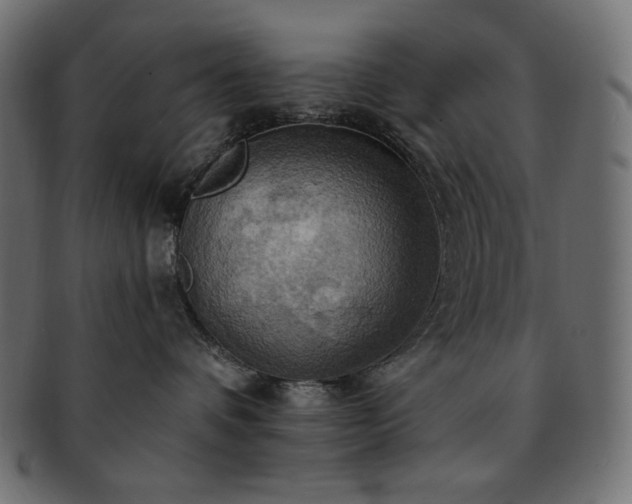 X0000093240336200710031607