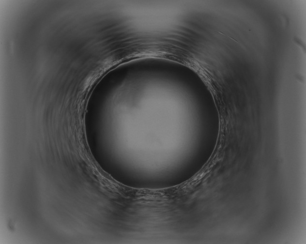 X0000093240337200710031606