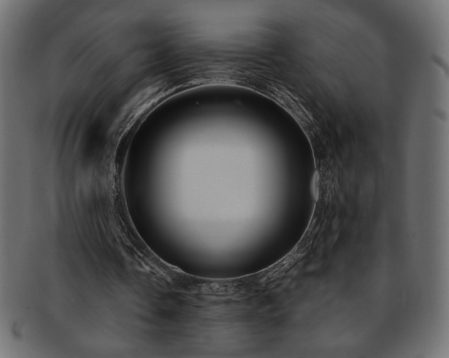 X0000093240338200710031606