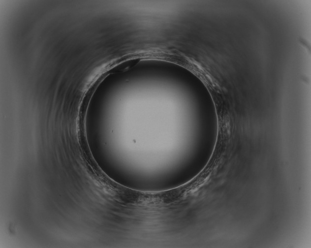 X0000093240340200710031607