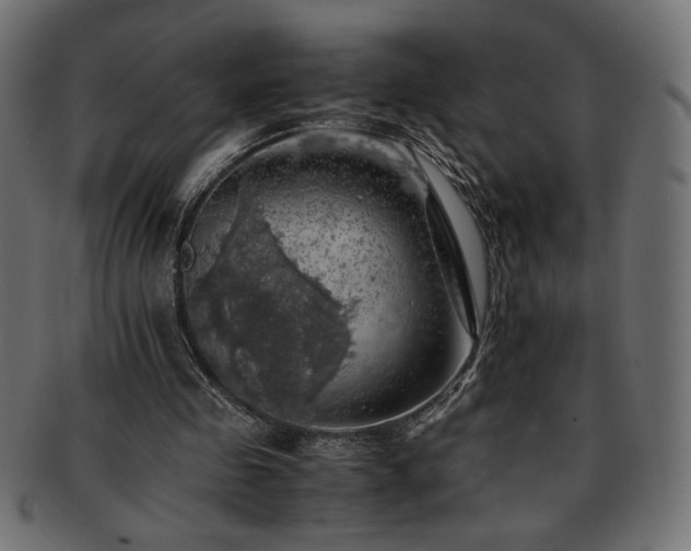 X0000093240341200710031607