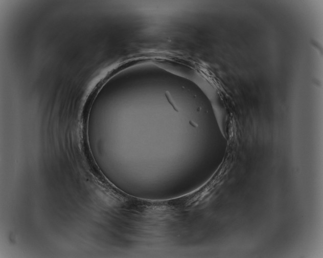 X0000093240342200710031607
