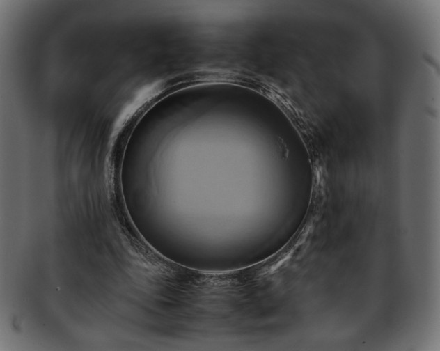 X0000093240343200710031607