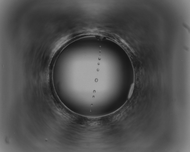 X0000093240344200710031607