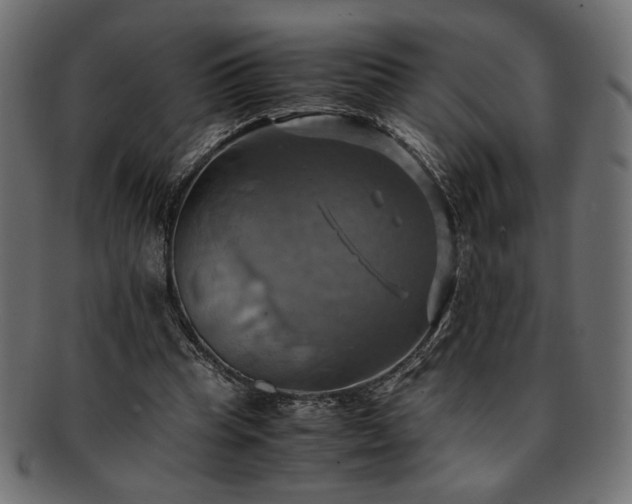 X0000093240345200710031607