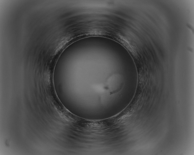 X0000093240347200710031607