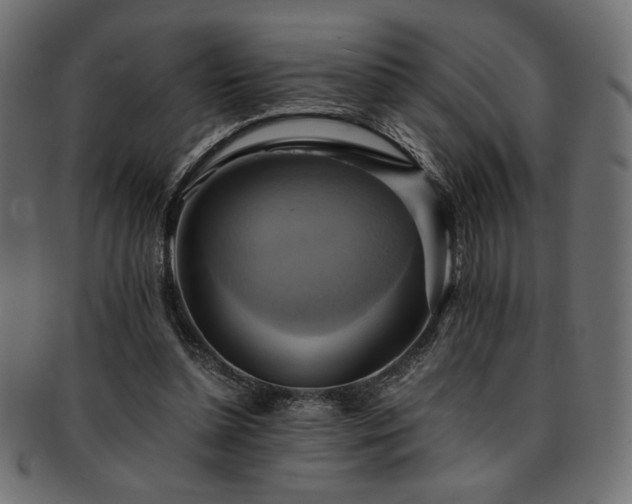 X0000093240348200710031607