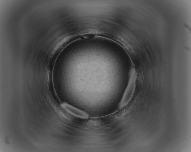 X0000093240350200710031607