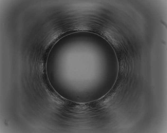 X0000093240351200710031607