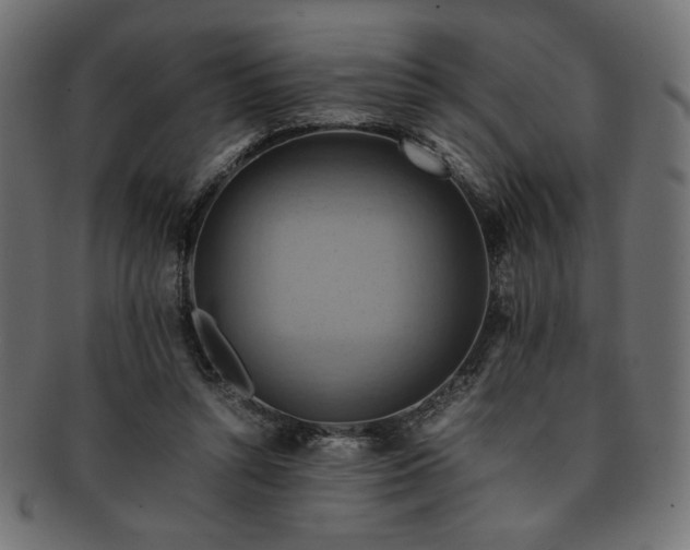 X0000093240352200710031607