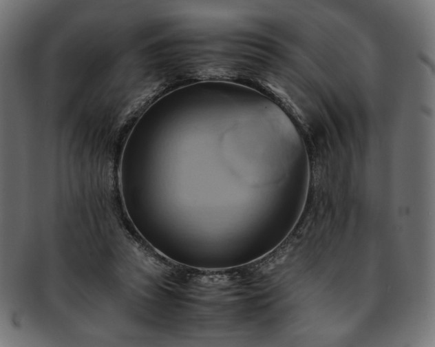 X0000093240353200710031607
