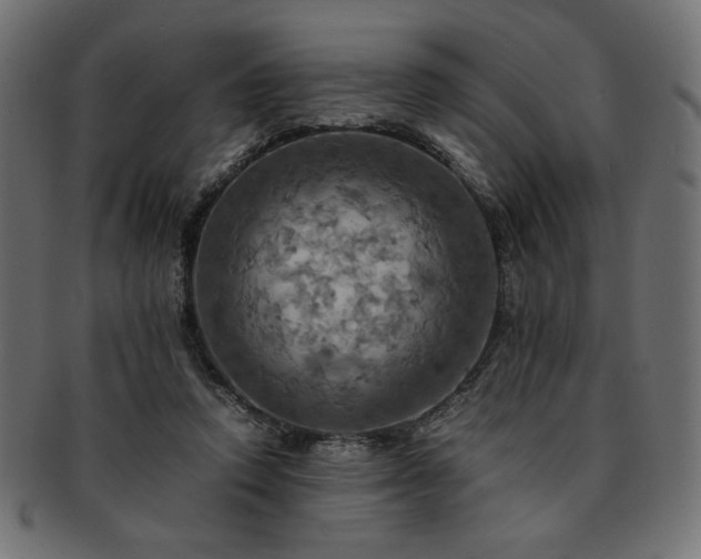 X0000093240354200710031607