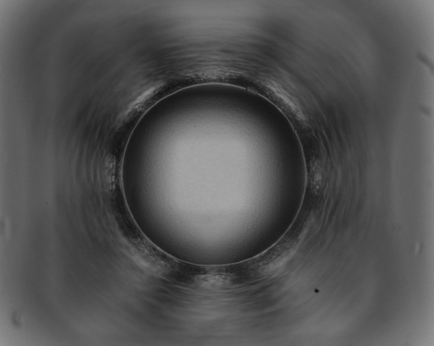 X0000093240356200710031607