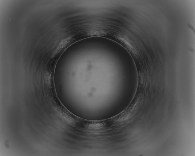 X0000093240357200710031607