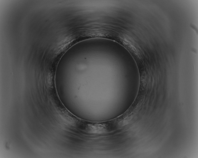 X0000093240359200710031607