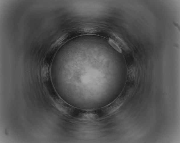 X0000093240360200710031607