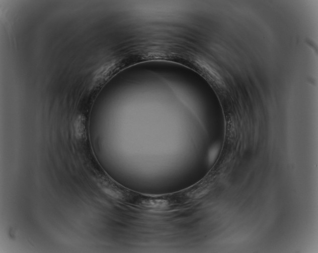 X0000093240361200710031607