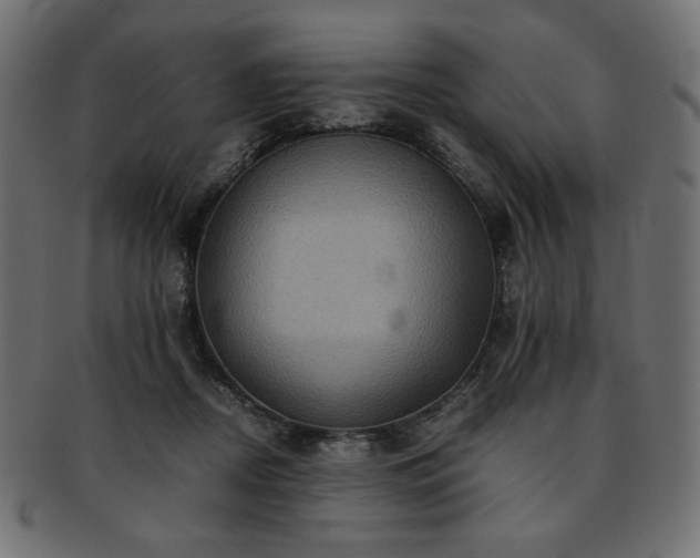 X0000093240362200710031607