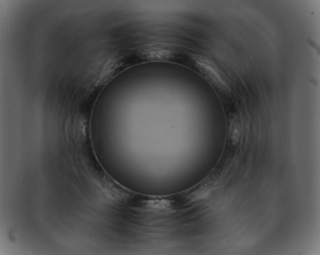 X0000093240363200710031607