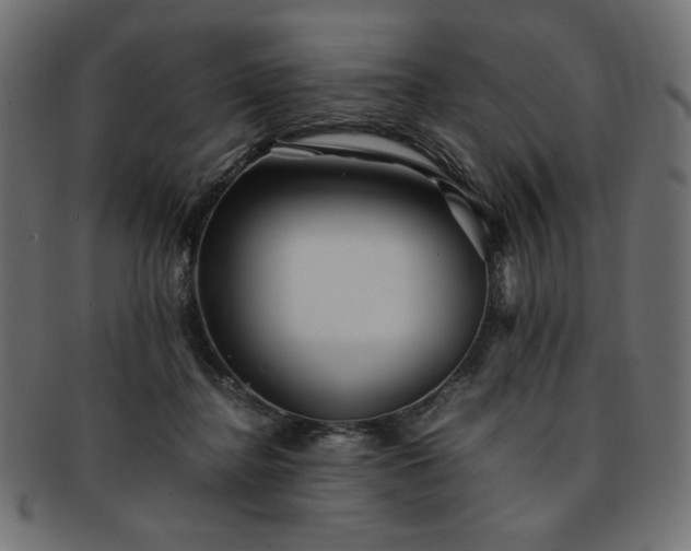 X0000093240364200710031607