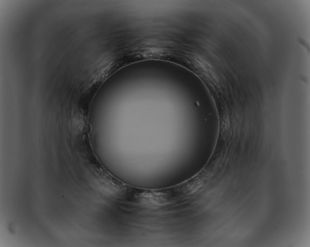 X0000093240367200710031607