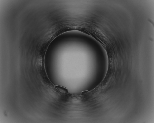 X0000093240368200710031607