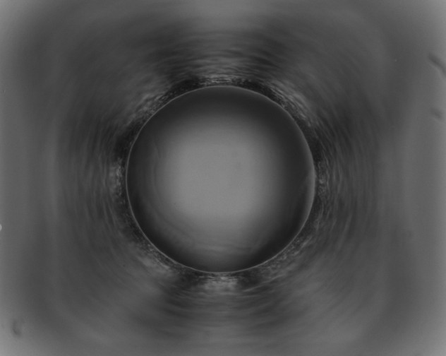 X0000093240369200710031607