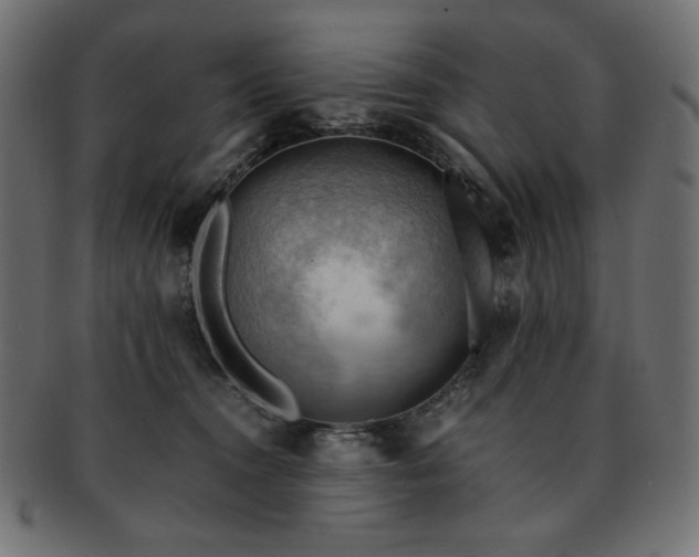 X0000093240372200710031607