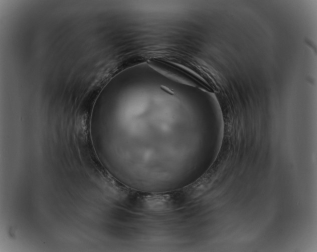 X0000093240373200710031607