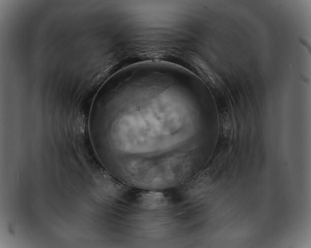 X0000093240374200710031607