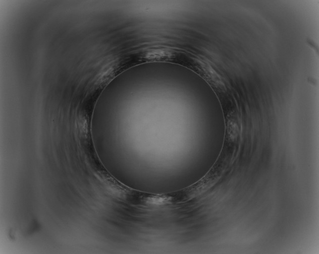 X0000093240375200710031607