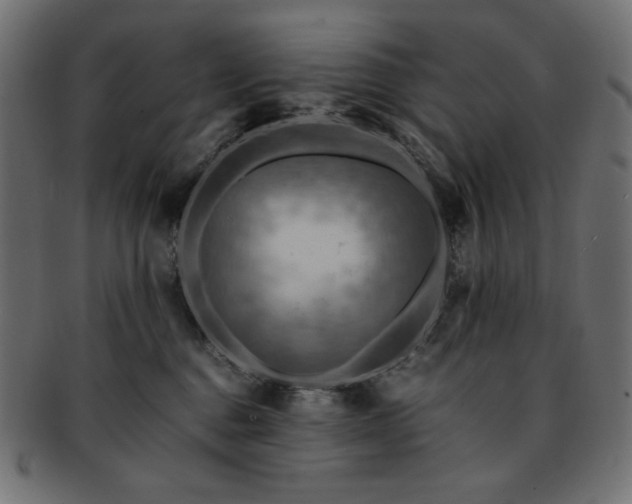 X0000093240376200710031607