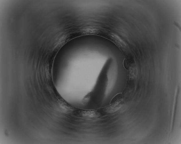 X0000093240377200710031607