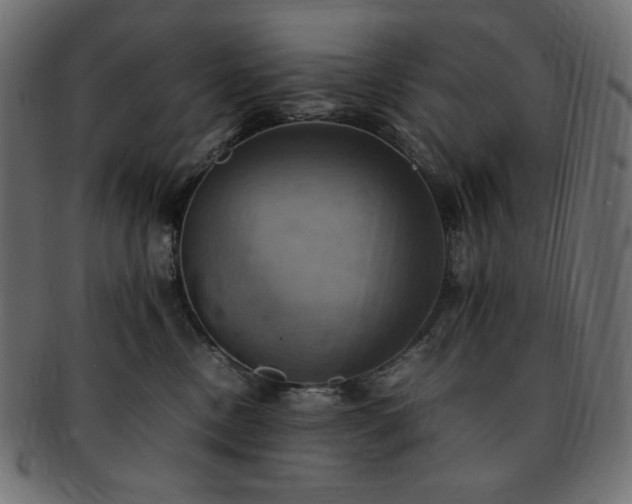 X0000093240378200710031607