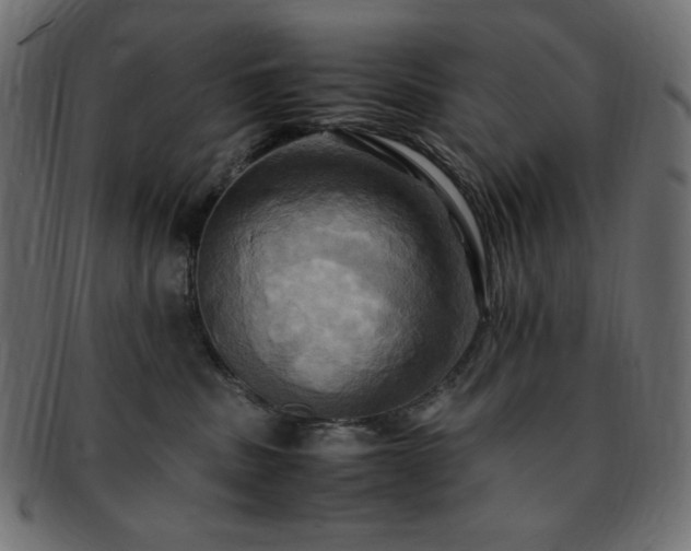 X0000093240379200710031607