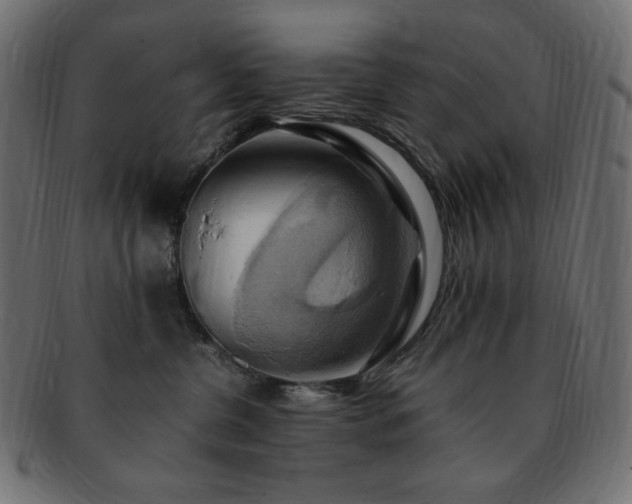 X0000093240380200710031607