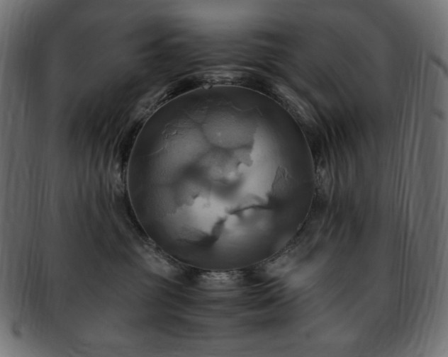 X0000093240381200710031607
