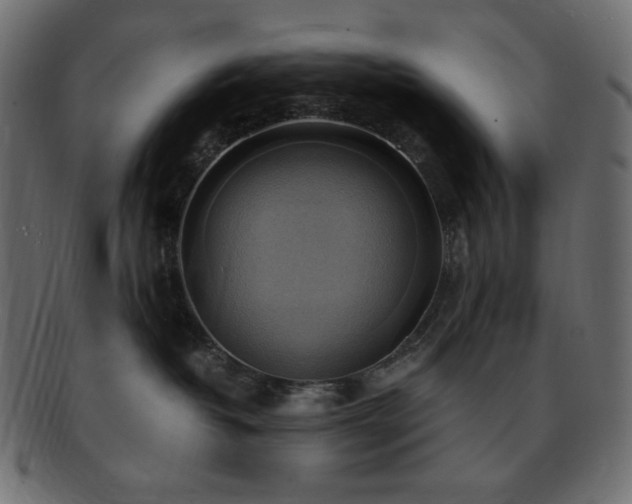 X0000093240382200710031607