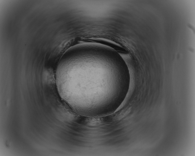 X0000093240384200710031607
