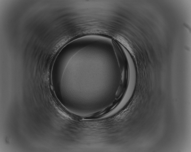X0000093240389200710031606